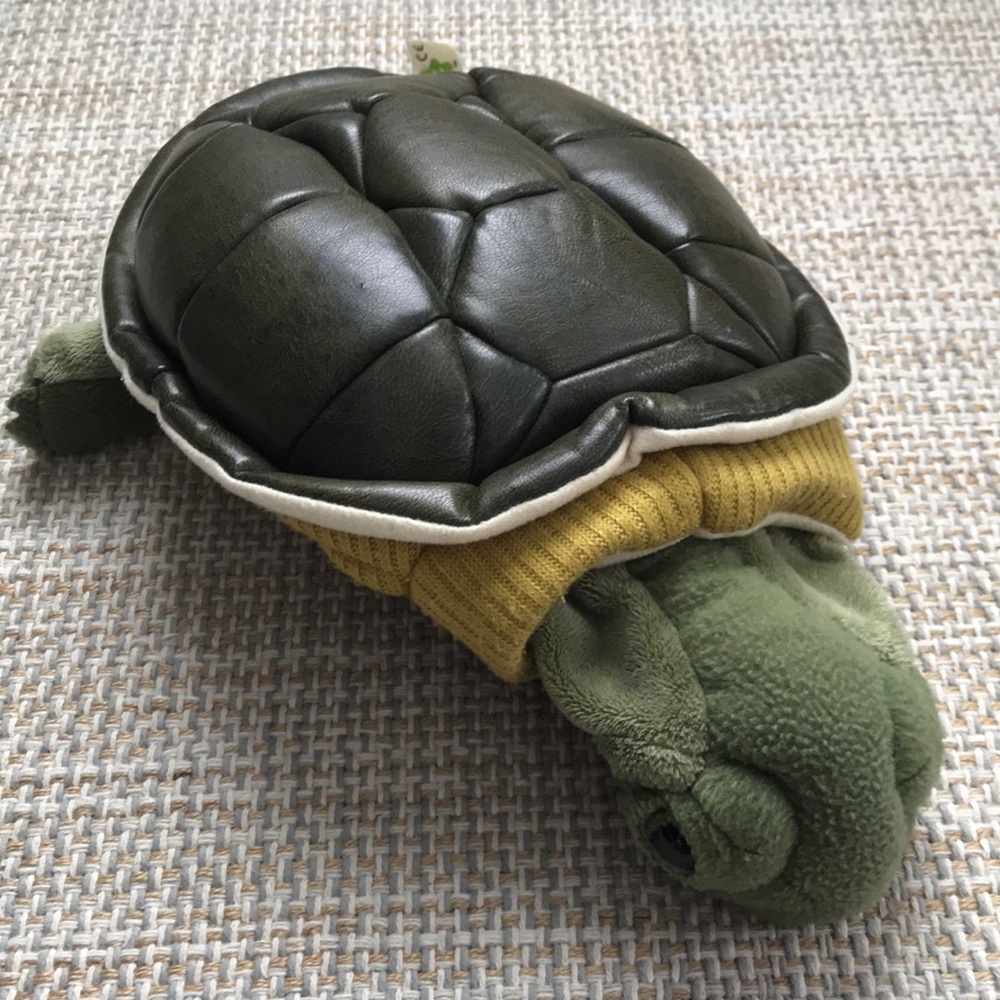 Folkmanis Turtle Puppet